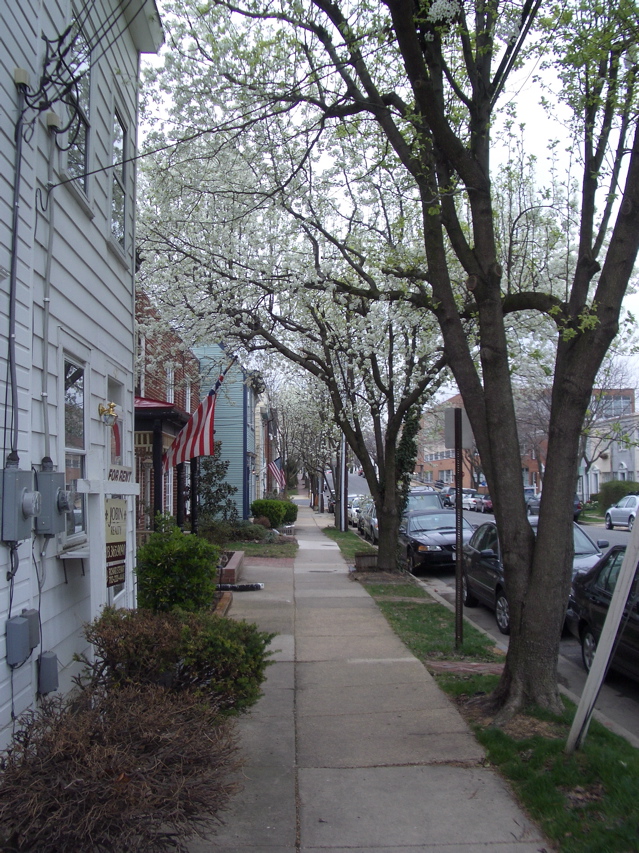IMGP0247.JPG