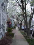 IMGP0247.JPG